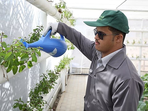 The new curriculum issued by the UAE Ministry of Community Development will help determined children learn skills including gardening.