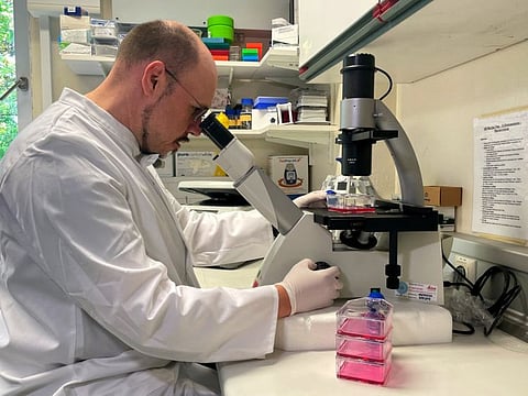 Head of the Institute of Microbiology of the German Armed Forces Roman Woelfel works in his laboratory in Munich, after Germany has detected its first case of monkeypox.