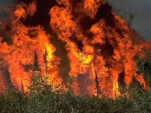 The fire has been raging for over a week in the 26,000 hectares of forest in the Sulaiman mountain range, home to the world’s largest pine nut forest.