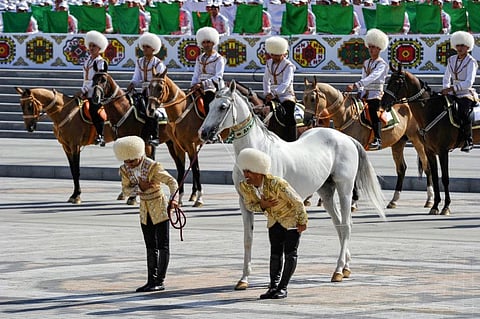 A picture taken on September 27, 2018 shows Ak Khan, an Akhal-Teke breed steed, taking part in a parade marking the 27th anniversary of Turkmenistan's independence in central Ashgabat.