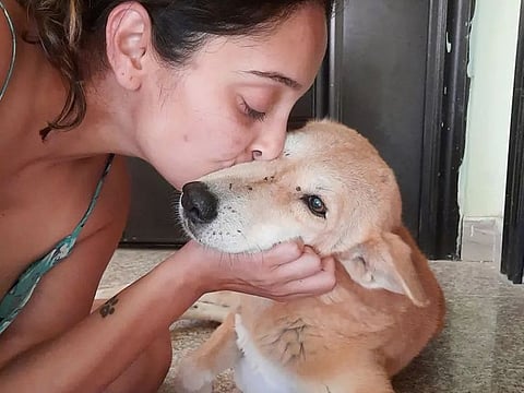 As a child, Varsha wanted to become a vet or a zookeeper, because those were the only professions that involved being around animals. Growing up in Muscat, Varsha did not have any animals around her and none of her friends had pets.