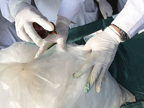 Drug trafficking has become a growing concern in Kuwait. Illustrative image.