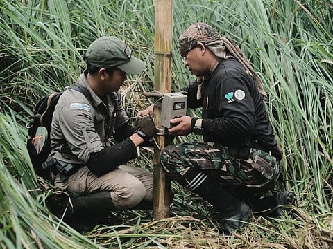 Conservationists setting up a camera trap to monitor wildlife under a programme of MBZ Fund