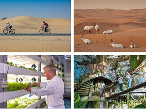From desert conservation reserves, to sustainable restaurateurs and eco-hotels, to cultural pursuits and eco-tourism attractions, DET is shining a light on 50 of the city’s pioneering initiatives in environmental conservation and sustainability