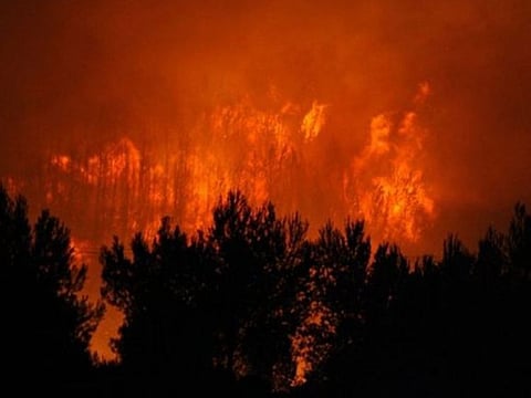 This year, the fires have scorched about 45 acres of Margalla national park this year so far and fires are still raging. In comparison, some 35 fires were reported in 2021 that damaged 189 acres.