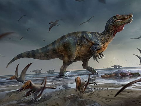 Artist's illustration shows a large meat-eating dinosaur dubbed the "White Rock spinosaurid," whose remains dating from about 125 million years ago during the Cretaceous Period were unearthed on England's Isle of Wight, standing on a beach, surrounded by flying reptiles called pterosaurs.