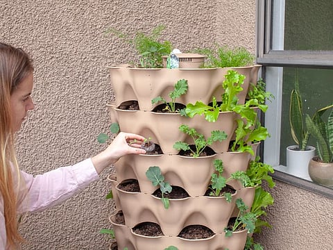 Unschooling is experience-based learning.