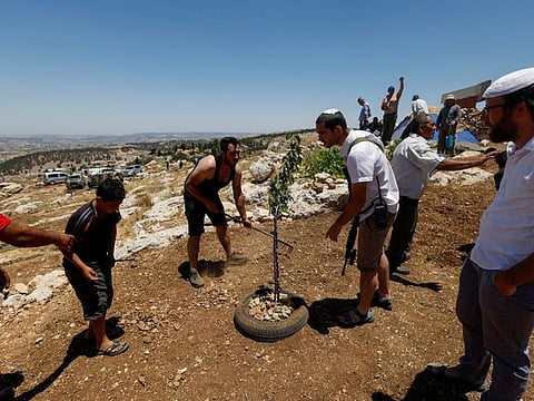 Palestinians work on a farmland as Israeli colonists ask them to evacuate during a protest against Israeli colony activity near Hebron in the Israeli-occupied West Bank June 11, 2022.