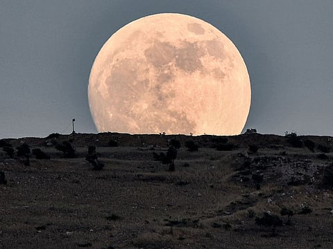 The waxing gibbous moon rises in the countryside of the village of Tal Sallur in the rebel-held Afrin region of Syria's northern Aleppo province on June 13, 2022, a day ahead of the June "strawberry supermoon".