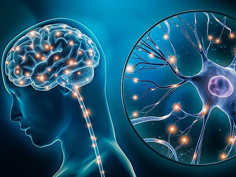 This forming and pruning of neural pathways is called neuroplasticity.