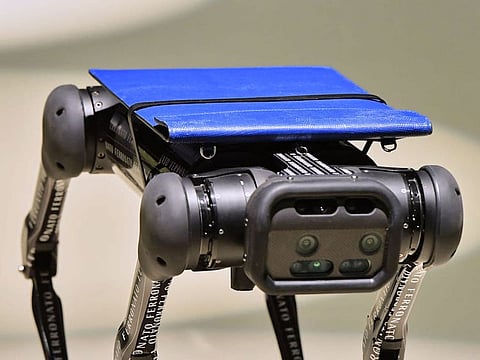 Swiss tech accessories brand Ferronato opened the show with a robotic life-size dog…