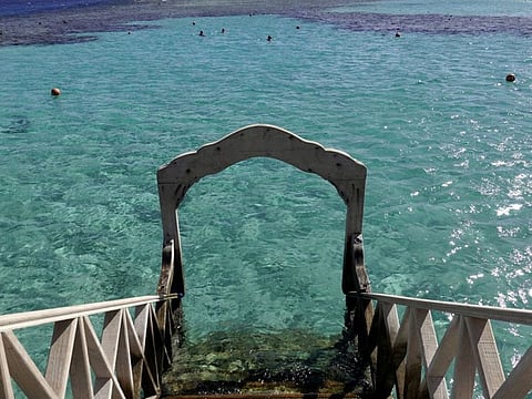 Tourists snorkel near a beach of the Red Sea resort of Sahl Hasheesh, Hurghada, in a file photo.
