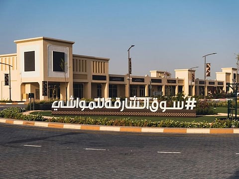 The Sharjah Livestock Market will be open from 6am to 3pm during the Eid holidays.