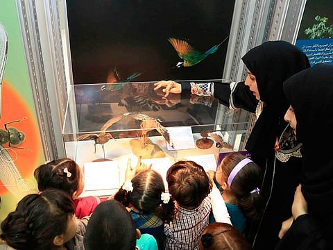 Sharjah Museum Authority is organising a series of educative activities over summer.