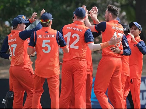 The Netherlands players celebrate after booking the place in the Twenty20 World Cup to be held in Australia later this year.