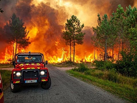 Trees burning amid a wildfire near Landiras, France.