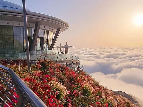 Al Suhub Rest Area is also know as the 'Cloud Lounge'