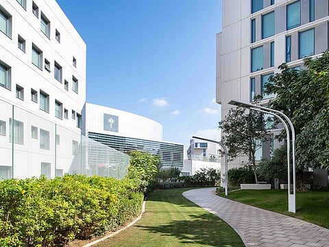 NYU Abu Dhabi campus. The new scholars will be heading for leading programmes in USA, China, Portugal and other destinations