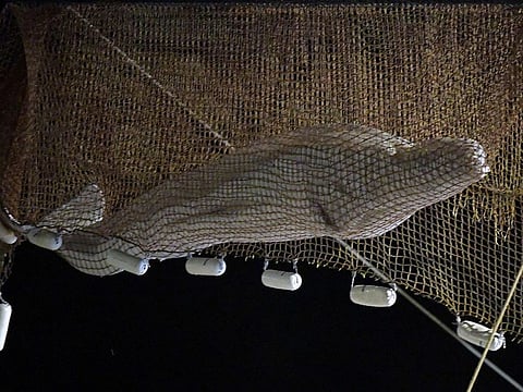 Rescuers pull up a net as they rescue a beluga whale stranded in the River Seine at Notre Dame de la-Garenne, northern France, on August 9, 2022.