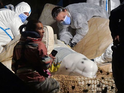 Veterinarians take care of a beluga whale that was stranded in the River Seine at Notre Dame de la-Garenne, northern France, on August 9, 2022.