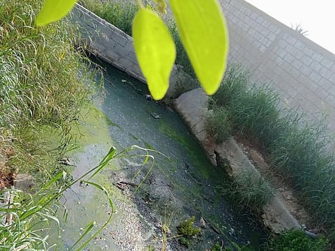 The campaign on septic tank maintenance, which will run until next month, is being organised by Tadweer in partnership with the Abu Dhabi Agriculture and Food Safety Authority.