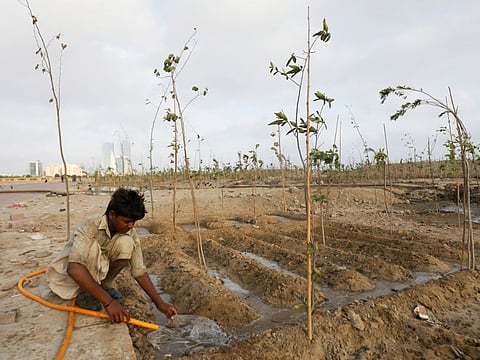 Prakash, 19, waters plants at the Clifton Urban Forest, previously a dumping site in Karachi, Pakistan May 26, 2021. In Pakistan, forest cover lags far behind average levels across South Asia.