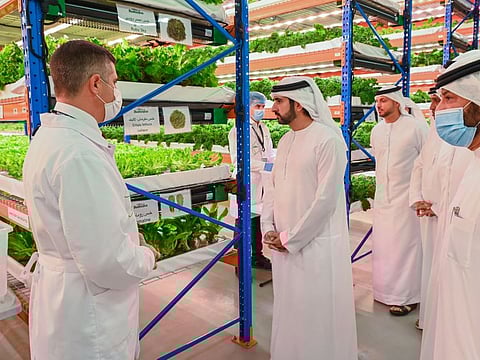 Sheikh Hamdan bin Mohammed during a tour of Bustanica, the world’s largest vertical farm that recently opened in Dubai