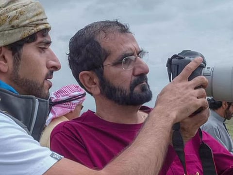 Sheikh Hamdan shared a series of photos on World Photography Day