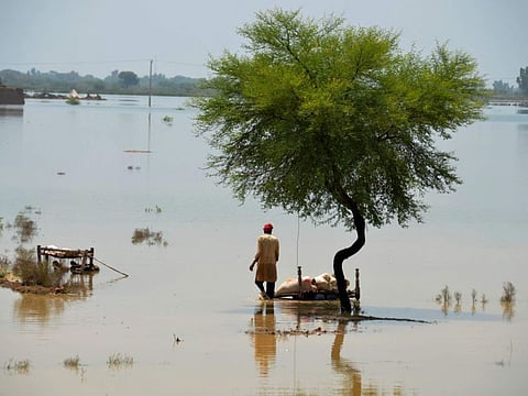 A villager uses cots to save usable items after salvaging from his flood-hit home, in Jaffarabad, a district of Pakistan's southwestern Balochistan province.