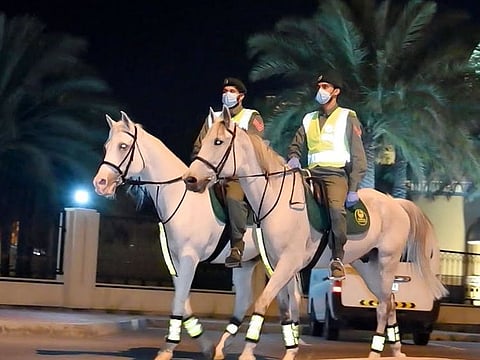 Dubai Mounted Police Station currently has 100 horses