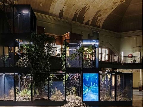 Ugo Schiavi, “Grafted Memory System”, 2022