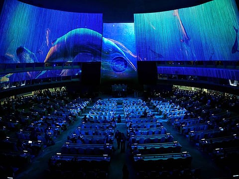 The projection explored the forces of nature that are people and planet, as well as the beauty, intelligence and fragility of our world