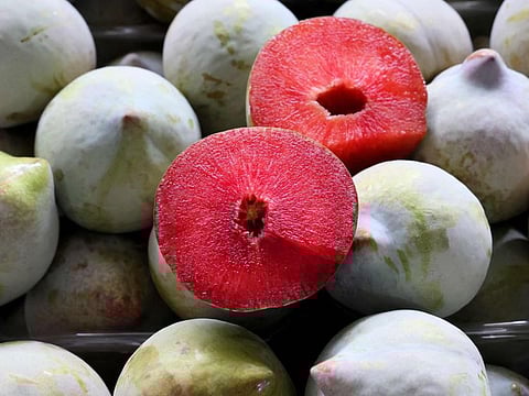 A variety of Watermelon Plum, one of the creations of genetically modified fruits by an Israeli hybrid fruit grower in the moshav of Yesod HaMa'Ala in northern Israel.