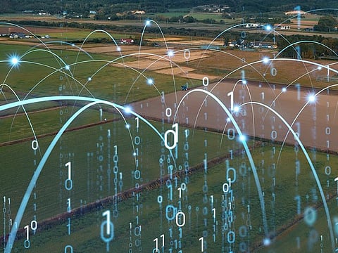 For the UAE and Middle East, food security is about taking on the region's extreme climate. Agritech advances can help with that.