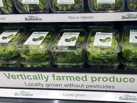 Bustanica, will now supply a new range of high quality leafy greens, including lettuce, arugula, mixed salad greens, and spinach to all Geant Hypermarkets and supermarkets across the UAE