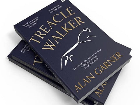 Treacle Walker by Alan Garner
