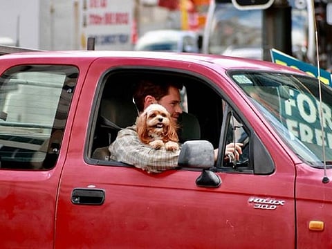 Farmers' "howl of a protest' was heard in major cities in New Zealand on Thursday.