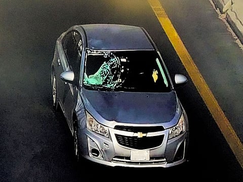 The vehicle that caused the accident has also been seized by Sharjah Police