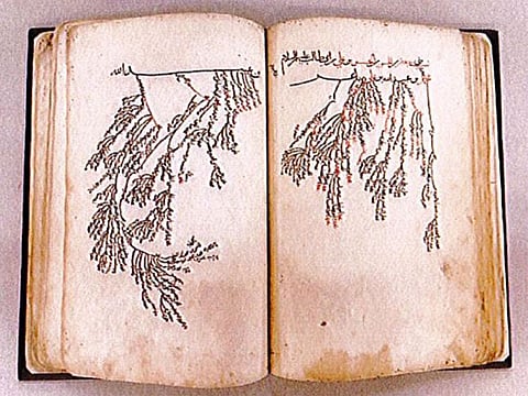 Sharjah International Book Fair offers visitors the opportunity to explore and read centuries-old rare Arabic and Islamic manuscripts and book.