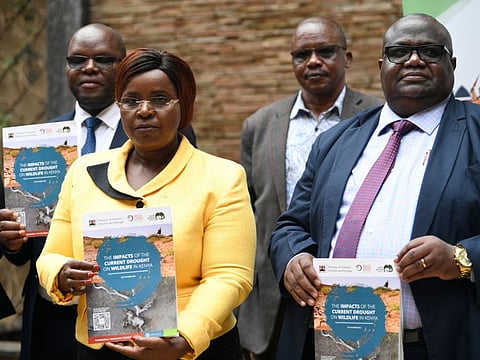Peninah Malonza (2nd left), Cabinet Secretary for the Ministry of Tourism, poses for a photograph flanked by other government officials, during the release of the report on impact of current drought on wildlife in Kenya, on November 4, 2022 in Nairobi.