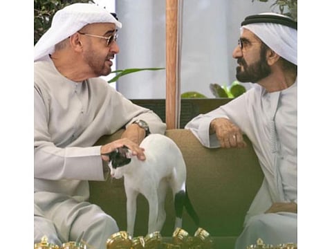 President His Highness Sheikh Mohamed bin Zayed Al Nahyan (left) and His Highness Sheikh Mohammed bin Rashid Al Maktoum, Vice President and Prime Minister of the UAE and Ruler of Dubai, during their meeting yesterday at Al Marmoom in Dubai