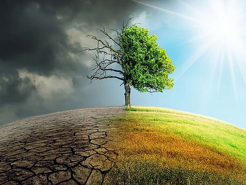 Al Manal Humanitarian Initiative intends to support Dubai Cares in its efforts towards integrating climate change issues into educational curricula to achieve global educational transformation that will benefit the whole of humanity.