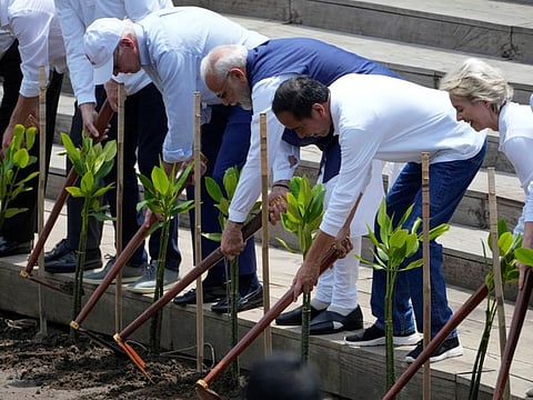 From left, US President Joe Biden, India Prime Minister Narendra Modi, Indonesia President Joko Widodo and European Commission President Ursula von der Leyen use shovels during an activity at a mangrove seeding area as part of the G20 Summit in Denpasar, Bali, Indonesia, on November 16, 2022.