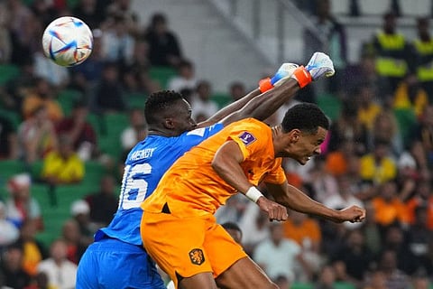 Cody Gakpo of the Netherlands (right) scores the opening goal during the World Cup, group A soccer match between Senegal and Netherlands at the Al Thumama Stadium in Doha, Qatar. The Netherlands won 2-0.