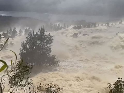 The impact of the flooding on wheat quality in eastern Australia is still hard to predict, largely because the weather has prevented farmers from heading out into the fields to start harvesting the crops.