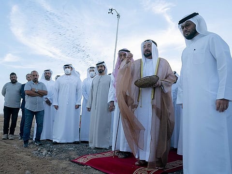 His Highness Dr Sheikh Sultan bin Muhammad Al Qasimi, Supreme Council Member and Ruler of Sharjah, disseminated seeds at the new farm