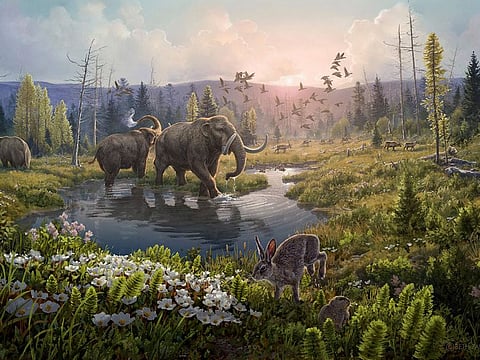 This illustration provided by researchers depicts Kap Kobenhavn, Greenland, two million years ago, when the temperature was significantly warmer than northernmost Greenland today.