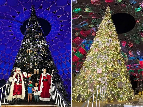 It’s festive season now with the Christmas tree lighting at Expo City Dubai