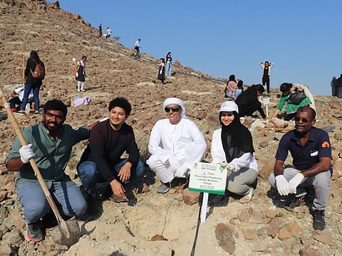 Saplings of the native Samar trees were planted in Al Munai area