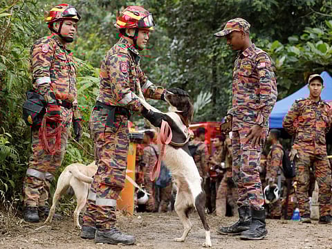A rescuer crew member pats a sniffer dog being used to aid in the search for victims of the landslide in Batang Kali, Selangor, Malaysia, December 17, 2022.